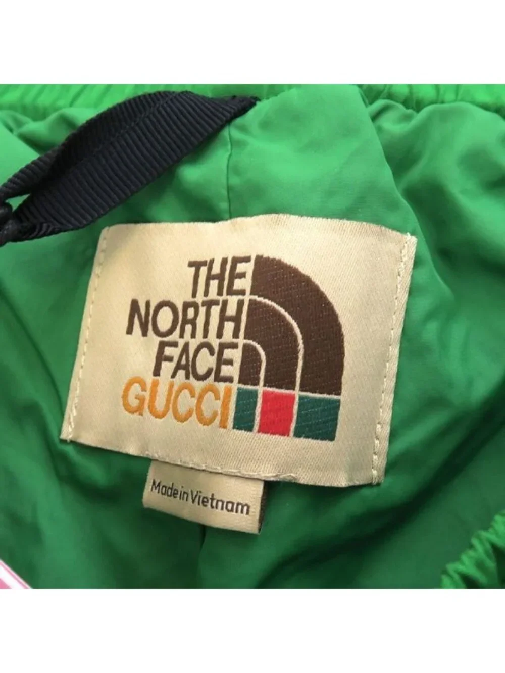 Gucci North Face Pants